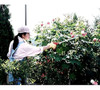 Ars Rose Pruner 2foot 1