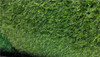 Cesped Sintetico 15mm - Dos Colores Y Buena Densidad Pasto 1