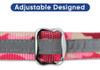 Pawtitas Martingale Collar Para Perros Con Cadena Un Collar 2 Pawtitas Martingale Collar Para Perros Con Cadena Un Collar 2