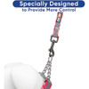 Pawtitas Martingale Collar Para Perros Con Cadena Un Collar 4 Pawtitas Martingale Collar Para Perros Con Cadena Un Collar 4