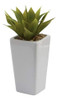 Casi Natural 4972s3 Agave Con Maceta, Mini, Color Blanco Y V 0 Casi Natural 4972s3 Agave Con Maceta, Mini, Color Blanco Y V 0