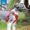 Voyager Step-in Flex De Best Pet Supplies- Arnés 5 Voyager Step-in Flex De Best Pet Supplies- Arnés 5