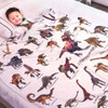 Manta De Dinosaurio Para Niños, Manta Para Niños Súper Suave 0
