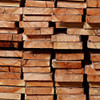Tablas Para Encofrado, Saligna 1 X5 X3.66 Mts, Tirantes,obra 3