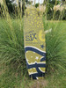 Tabla Kitesurf 4