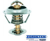 Valvula Termostatica Ford Mondeo 2.5 V6 98/01  Original 0