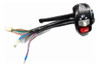 Manillar De Luces Izquierdo Zanella Styler Cruiser Original! 0
