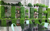 Enredadera De Jardín Y Pared Vertical 40 X 60 Cm 4