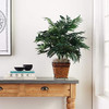 Casi Natural 6556 Palmera De Bambú Con Cesta De Mimbre Plant 2 Casi Natural 6556 Palmera De Bambú Con Cesta De Mimbre Plant 2