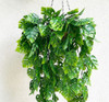 Caída De Monstera- Costilla De Adan Platas Artificiales 3 Caída De Monstera- Costilla De Adan Platas Artificiales 3