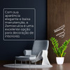 Zamioculca Formada Muda Em Vaso 5