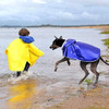 Capa De Chuva Para Cães Weesiber À Prova Dágua, Jaqueta De 5 Capa De Chuva Para Cães Weesiber À Prova Dágua, Jaqueta De 5