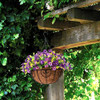Flores Artificiales Colgantes En Canasta Exterior Interior P 2