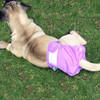 Calça Fisiológica Cinza Para Animais De Estimação Xl 4