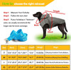 Capa De Chuva Impermeável Para Cachorro Para Filhotes, Capa 5