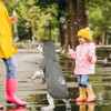 Capa De Chuva Impermeável Para Cachorro Para Filhotes, Capa 6
