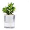 Maceta Para Hidroponia 10cm Plantas Jardín Decoración 0