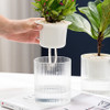 Maceta Para Hidroponia 10cm Plantas Jardín Decoración 1