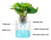 Maceta Para Hidroponia 10cm Plantas Jardín Decoración 4