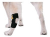 Abrazadera Para Pata Trasera Perro - Xs 3