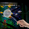 Rede De Peixes De Aquário Telescópica Círculo Grande 7
