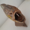 Artesanias Tipo De Piraña 4
