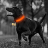 Collar Led Mascota Perro Gato Paseo Seguridad Talle Xl  L222 3