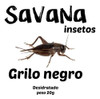 Grilo Desidratado Savana Insetos 0
