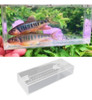 Caixa De Criação De Peixes Caixa De 22x4,2x8cm 4