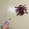 Araña De Juguete A Control Remoto Pilas No Incluidas 7