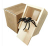 Parnixs - Caja Con Araña De Goma Para Bromas, Caja 2