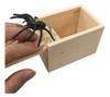 Parnixs - Caja Con Araña De Goma Para Bromas, Caja 3
