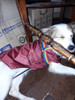 Ropa Para Perros 10 Pilotos S/abrigo Forrado Con Abrojo 2