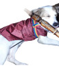 Ropa Para Perros 10 Pilotos S/abrigo Forrado Con Abrojo 3
