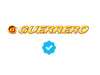 Puño Derecho Guerrero Gpr 200 2