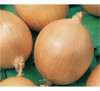 Sementes Importadas De Cebola Ipa 11 500g Topseed Garden 1