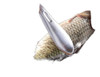 Cepillo Para Escamas De Pescado Con Dientes Acero Inoxidable 0