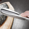 Cepillo Para Escamas De Pescado Con Dientes Acero Inoxidable 5