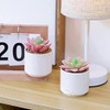 Zenmag Fake Succulents, Mini Succulents Plants Artificial In 1 Zenmag Fake Succulents, Mini Succulents Plants Artificial In 1