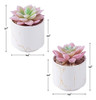 Zenmag Fake Succulents, Mini Succulents Plants Artificial In 2 Zenmag Fake Succulents, Mini Succulents Plants Artificial In 2