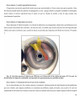 Port And Flow Test (porteado Y Fluidos. En Español!!! 4