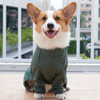 Casaco Ao Ar Livre Para Cães Impermeável Para Capa De Chuva 2