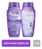 Kit X 3 Jabones Líquido Dermo Vagisil Cuidado Ph 354ml Grand 3