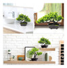 Leafouse Árbol Bonsái Artificial Enebro Mini Planta Interior 5