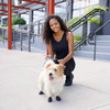 Pawz Hasta 1inch Botas Para Perros A Prueba De Agua Tiny Bla 1