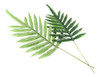 Hoja Artificial Palmera 72cms X 2  Unidades 5