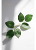 Floroom Hojas Verdes Artificiales 70 Hojas De Flores De Rosa 1