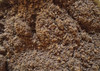 Sustrato De Fibra De Coco. X 2kg 1