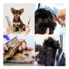 Tijeras Grooming Juego Profesional Peluqueria Canina 5