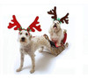 Bwogue 2 Set Dog Elk Reno Cornamenta Diadema Para Navidad Pe 3 Bwogue 2 Set Dog Elk Reno Cornamenta Diadema Para Navidad Pe 3
